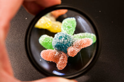 Exploring the Top CBD Gummies: Our Picks for 2024