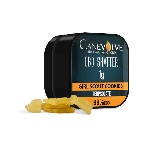 Canevolve CBD Products Canevolve 99% CBD Shatter - 1g