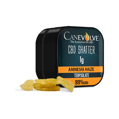 Canevolve CBD Products Canevolve 99% CBD Shatter - 1g