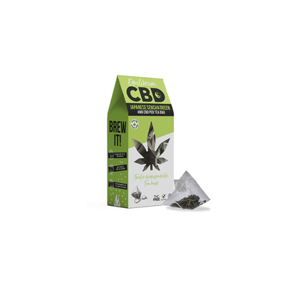 Equilibrium CBD CBD Products Equilibrium CBD 48mg Full Spectrum Japanese Sencha Tea Bags Box of 12 (Buy 1 Get 1 Free)