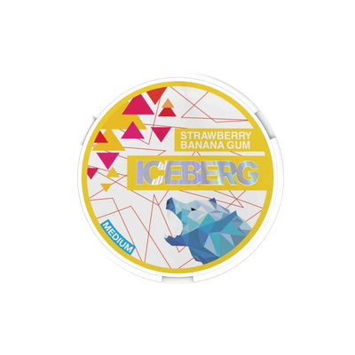 Iceberg Smoking Products 20mg Iceberg Medium Nicotine Pouches - 20 Pouches