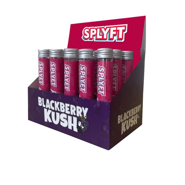 SPLYFT Food, Beverages & Tobacco SPLYFT Cannabis Terpene Infused Rolling Cones – Blackberry Kush (BUY 1 GET 1 FREE)