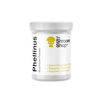 The Shroom Shop CBD Products The Shroom Shop Phellinus 90000mg Powder