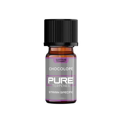 UK Flavour CBD Products UK Flavour Pure Terpenes Sativa - 5ml