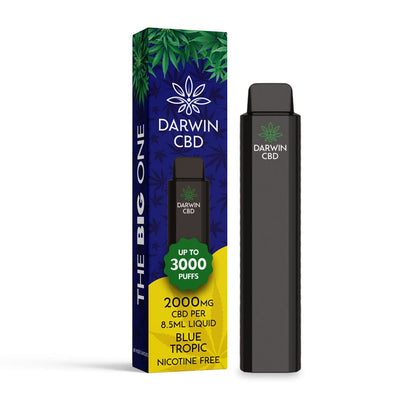 Darwin CBD Products Darwin The Big One 2000mg CBD Disposable Vape Device 3000 Puffs